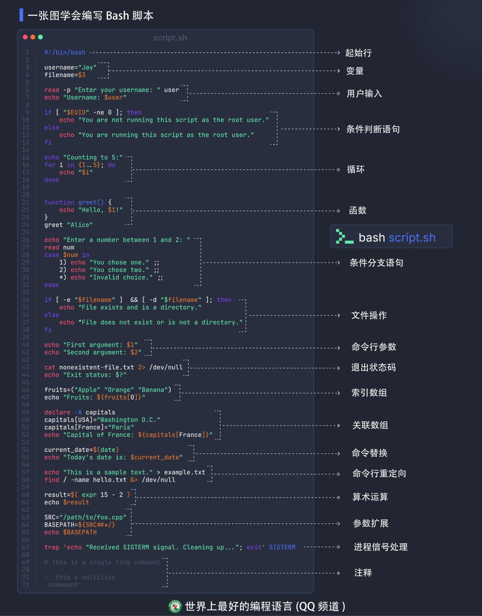 一张图学会编写Bash脚本